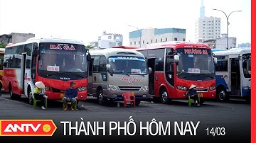Áp Lực Giá Xăng, Doanh Nghiệp Vận Tải Đua Nhau Tăng Giá Cước | Thành Phố Hôm Nay Ngày 14/03 | ANTV