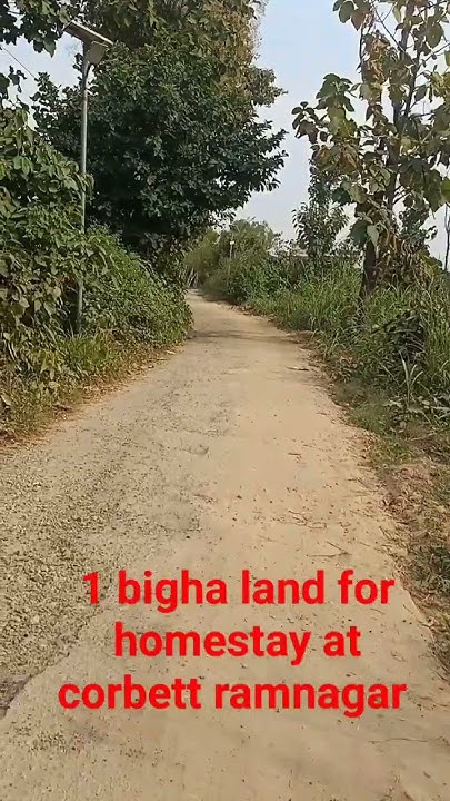 Discover Your Dream Home Stay And Farmhouse On 1 Bigha Land In Corbett discover-your-dream-home-stay-and-farmhouse-on-1-bigha-land-in-corbett