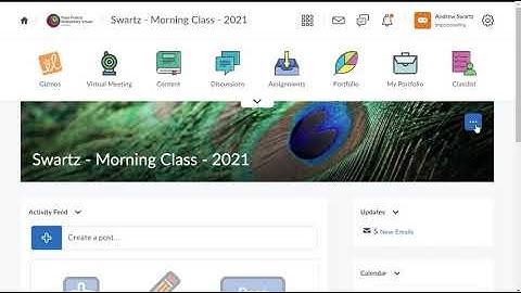 NAVBAR and HOMEPAGE - Customize Your Class Page in Brightspace