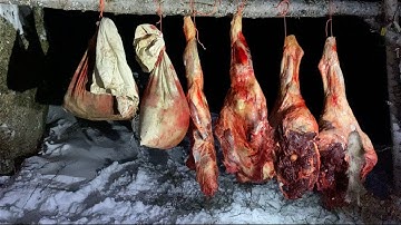 Processing our 2021 Alaskan Moose