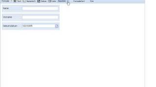 Ibm Websphere Portal - Business Formular Editor