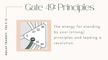 Human Design Solar Transit - Gate 49: Principles