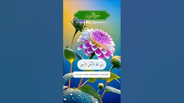 سورة البيّنة #الله #القرآن #فيروسي #فيديو فيروسي #فيديو فيروسي على يوتيوب #فيديو رائج #سورة البيّنة