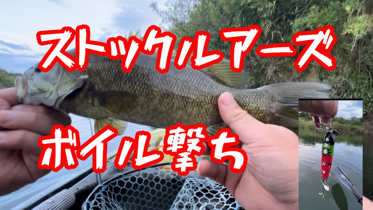 #トップウォーター #カヤックフィッシング#ストックルアーズ #鬼怒川バス釣り#bassfishing #fishing #ボイル撃ち