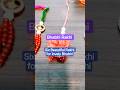 भाभी के लिए राखी #lumbarakhi #shorts #dhrutiscreation #diyrakhi