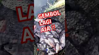 NGOTREK DI EMPANG PAKDE RUDI MARUNDA ‼️ #fishing #mancing #nila #tilapia #mujair #baboon
