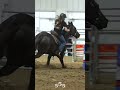 Pro vidddd! #horse #equestrianjourney #horseracing #equestrian