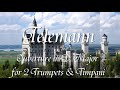 Telemann - Ouverture in D Major for 2 Trumpets, Timpani, Strings & B C