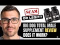 BIG DOG LABS REVIEW: WHAT YOU NEED TO KNOW BEFORE BUYING (2026)