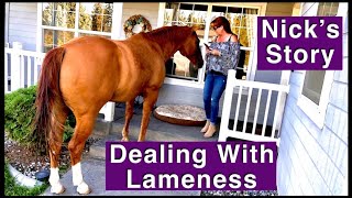 Freak Horse Trailer Accident Causes Permanent Injury. IM Glucosamine & Cortisone Injection Results by Funny Farm Homestead 255 views 3 years ago 16 minutes