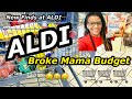 ALDI Haul | Broke Mama Budget ~ June 15, 2021+ New Items I found