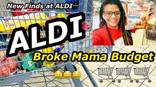 ALDI Haul | Broke Mama Budget ~ June 15, 2021+ New Items I found