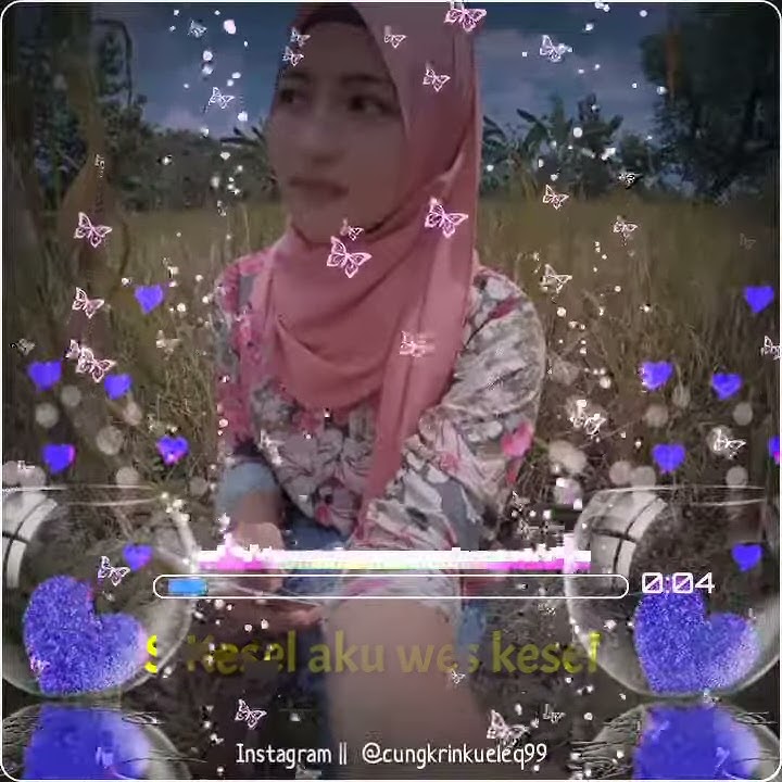 Story WA/IG Anisa Salma Berjuang Dewean 2019