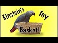 Einstein's Toy Basket