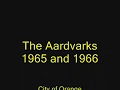 The aardvarks   1966