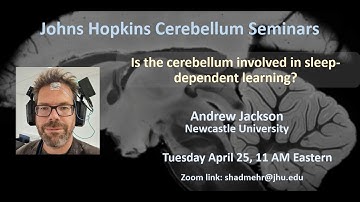 Andrew Jackson: Is the cerebellum involved in sleep-dependent learning?