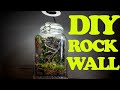 I Made A Rocky Jungle In A Jar | Bioactive Terrarium
