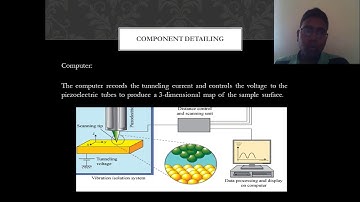 Scanning Tunneling Microscopy