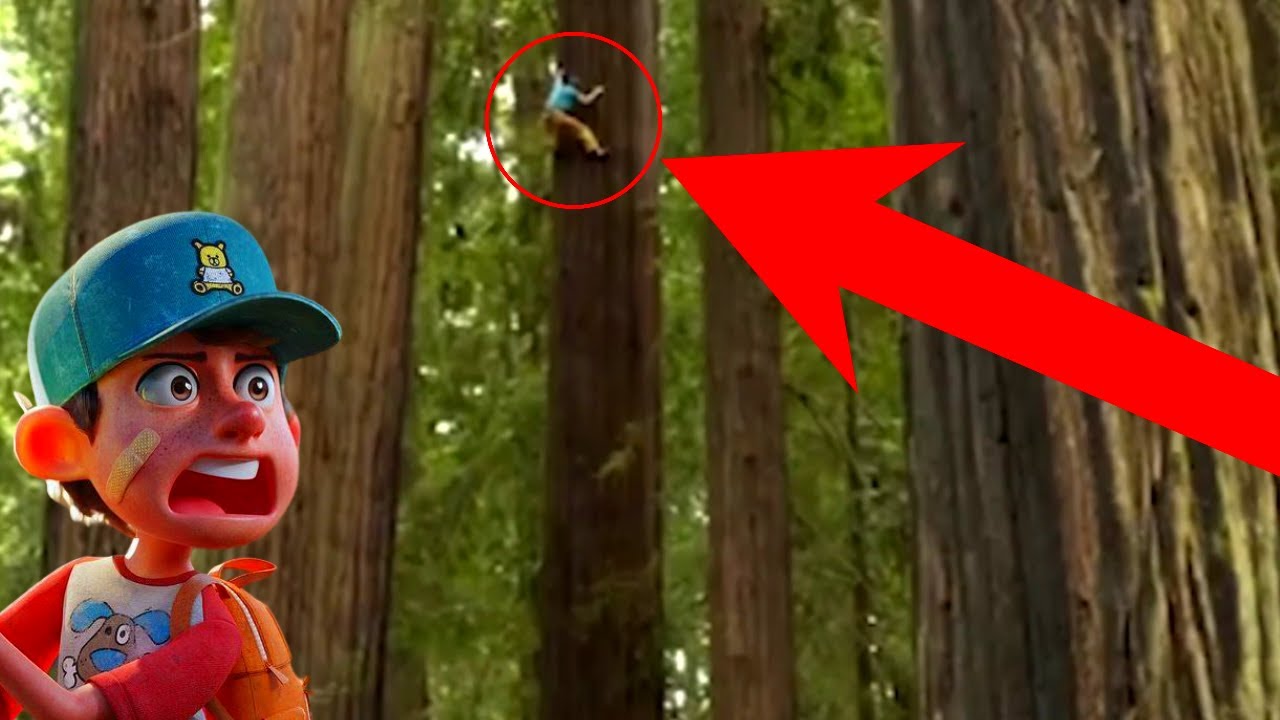 The BIGGEST And STRONGEST Trees In The World YouTube the-biggest-and-strongest-trees-in-the-world-youtube