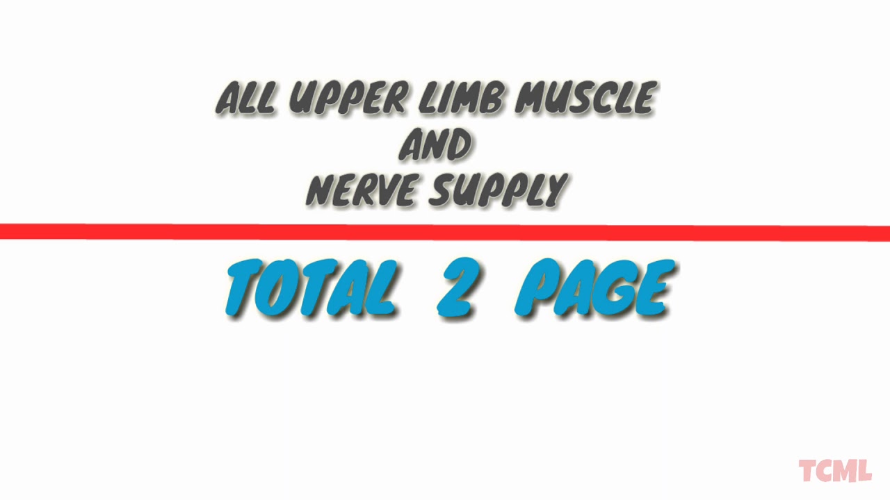 All upper limb muscle and nerve supply - YouTube