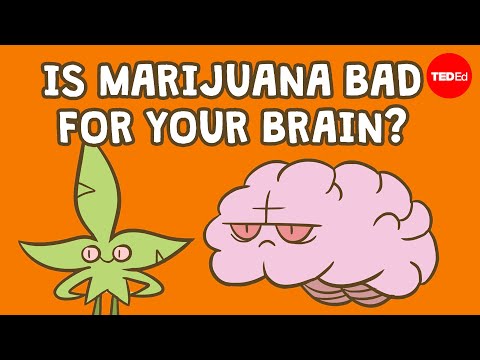 Thumbnail for the embedded element "Is marijuana bad for your brain? - Anees Bahji"