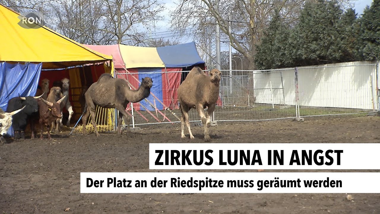 Zirkus Luna in Angst | RON TV |