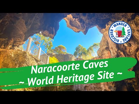 Naracoorte Caves ~ Discover South Australia