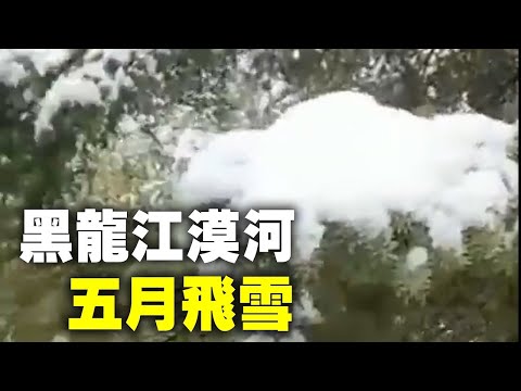 5月22日下午开始，黑龙江漠河五月飞雪。视频中：马上进入六月份，你看看还雪景呢