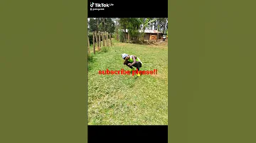 Usicheke Pekee Share 