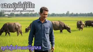 ជីវិតត្រូវតែតស៊ូ (ការស្ដាប់រឿងនិទានអប់រំផ្លូវភេទ សម្រាប់យុវវ័យ ដើម្បីសុខភាព)