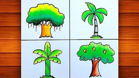 Different Types of Tree Drawing || Banyan Tree, Coconut Tree, Banana Tree, Mango Tree Drawing..