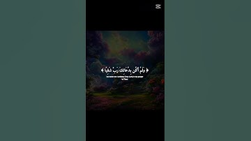 سورة مريم || القارئ احمد خالد القرآن الكريم قران كريم #راحة_نفسية #المصحف #اكسبلور تلاوة عذبه ❤🎧😌