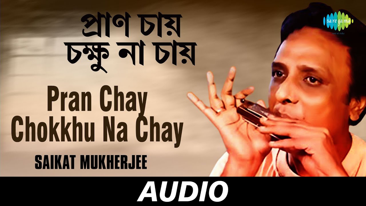 Pran Chay Chokkhu Na Chay Mouth Organ  Saikat Mukherjee  Rabindranath Tagore  Audio