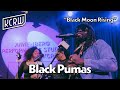 Black Pumas - Black Moon Rising (Live on KCRW)
