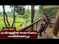 Deep Forest Stay For Family | Forest Stay in Ernakulam | Thattekkad Jungle Stay | DotGreen