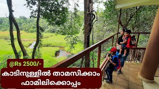 Deep Forest Stay For Family | Forest Stay in Ernakulam | Thattekkad Jungle Stay | DotGreen