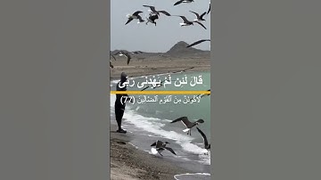 سورة الأنعام 74-75-76-77-78-79 ‐
