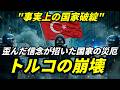 「金利は悪の母」大統領の執念がトルコ経済を破壊した全記録：リラ暴落が私たちに突きつける警告