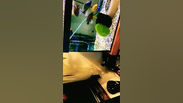 FLUVAL FX4 MOTOR STOPPED WORKING 🔥🔥🔥#shorts #shortvideo.🎥…