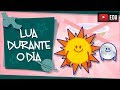 Explorando o Universo com o Professor Bill Tyson