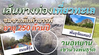 เส้นทางท่องเที่ยวทะเล ชมซากดึกดำบรรพ์ วนอุทยานเขานางพันธุรัต ชะอำ เพชรบุรี : ขับรถจากหากเจ้าสำราญ