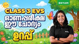 Class 3 EVS | Onam Exam - This Question Is Guaranteed! | Xylem Class 3