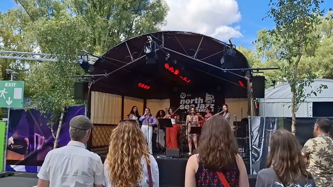 Antipatriarca - Las Hienas (Ana Tijoux Cover)