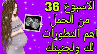 الاسبوع 36 من الحمل .بداية الشهر التاسع اهم التطورات لك ولجنينك