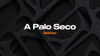 A palo seco - Belchior - Karaokê