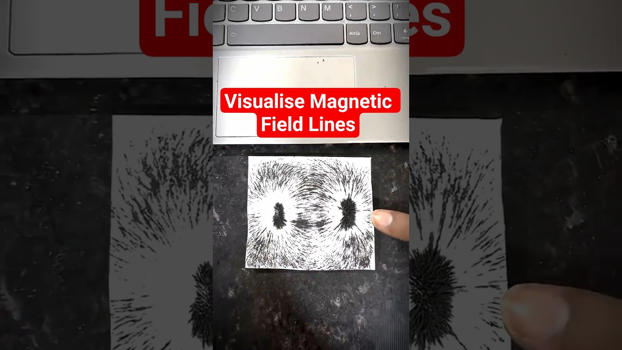 Iron Filings Se Magnetic Field Lines Dekho🔥 