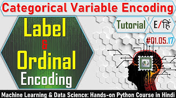 Label Encoding & Ordinal Encoding in Hindi | Feature Engineering | Machine Learning Tutorial #5.17