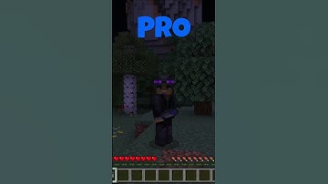 Noob Vs Pro Vs Hacker In Minecraft!!!