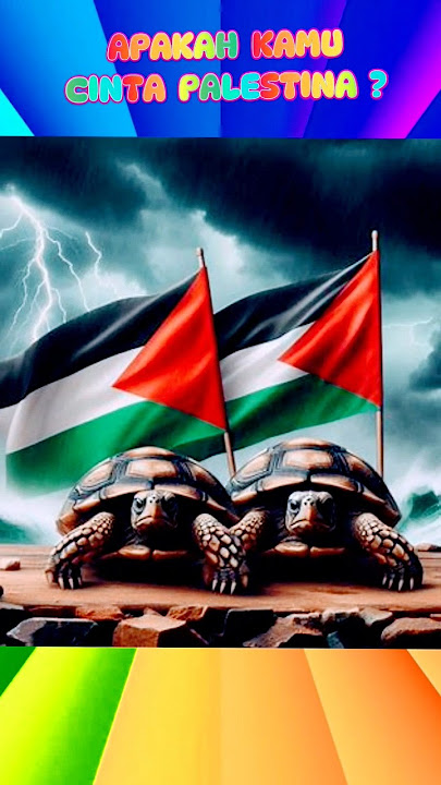 🐼TURTLE GO TO PALESTINE🐼 #shorts #trendingshorts #palestina #palestine