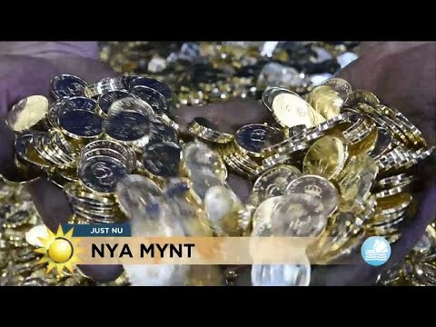 Video: Daglig Förmögenhet Med Mynt Och Kort